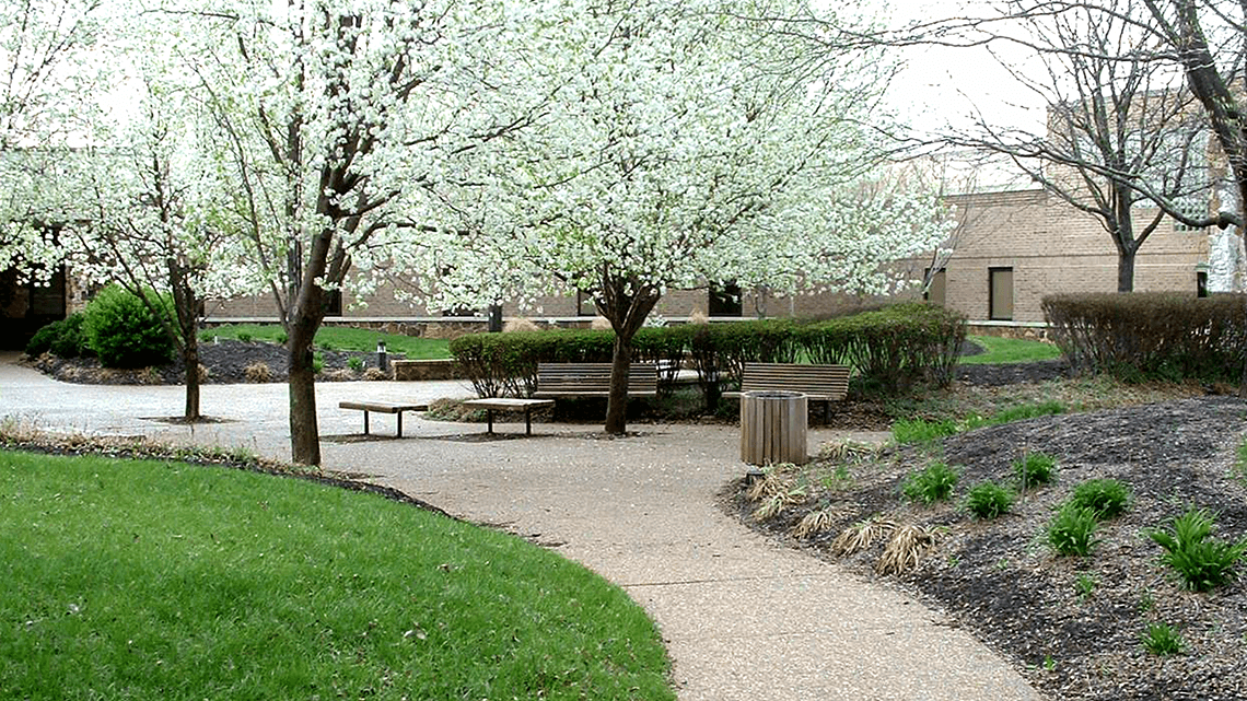 Rivendell Behavioral Health Services