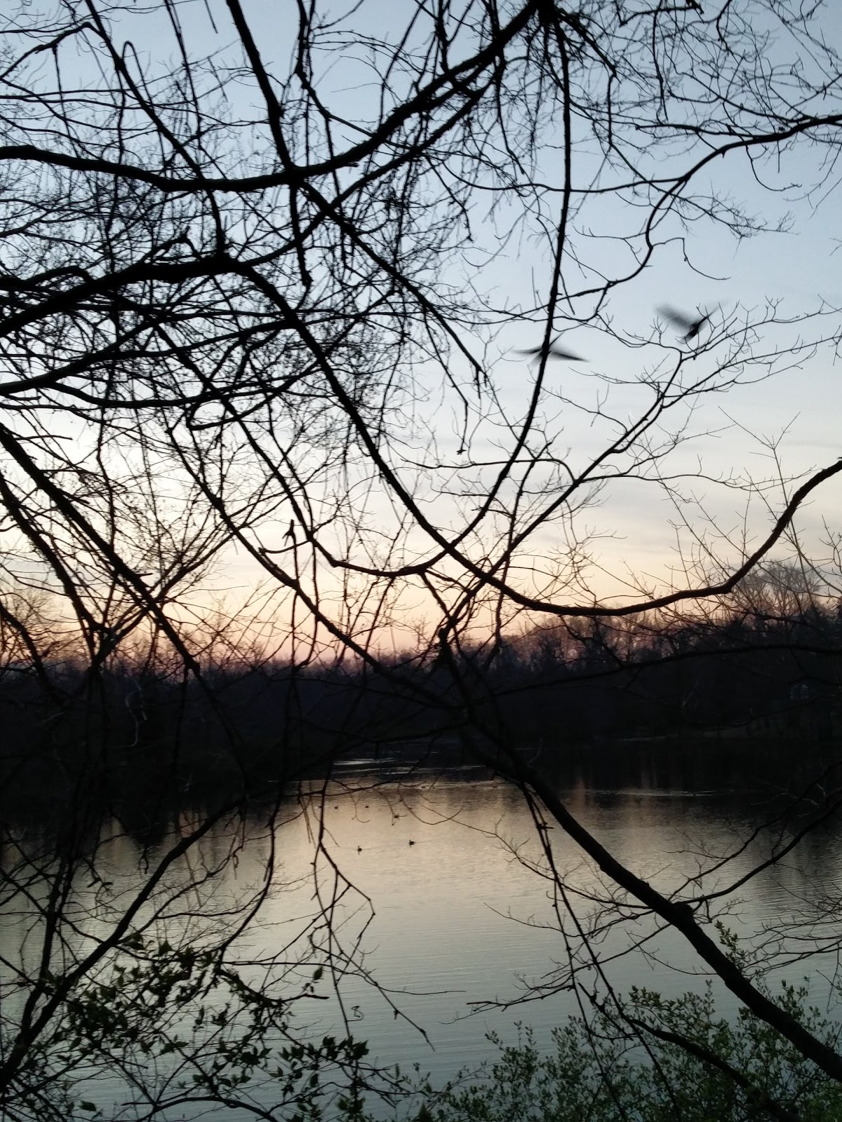 Central State Hospital